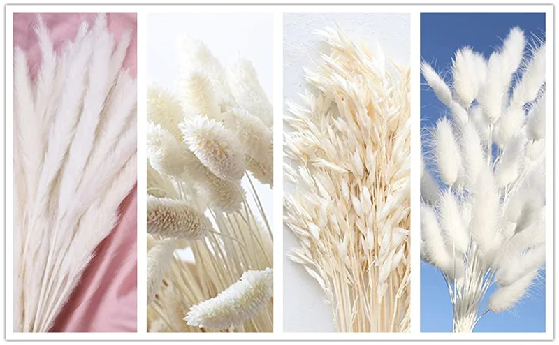 White Pampas Grass Decor 50 Pcs 17” Wedding Centerpiece Flower Arrangements Natural Home Boho Room Decoration Dried Flower Gift White Pampas Grass Decor 50 Pcs 17” Wedding Centerpiece Flower Arrangements Natural Home Boho Room Decoration Dried Flower Gift
