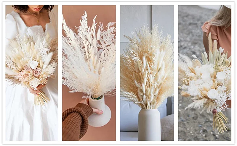 White Pampas Grass Decor 50 Pcs 17” Wedding Centerpiece Flower Arrangements Natural Home Boho Room Decoration Dried Flower Gift White Pampas Grass Decor 50 Pcs 17” Wedding Centerpiece Flower Arrangements Natural Home Boho Room Decoration Dried Flower Gift