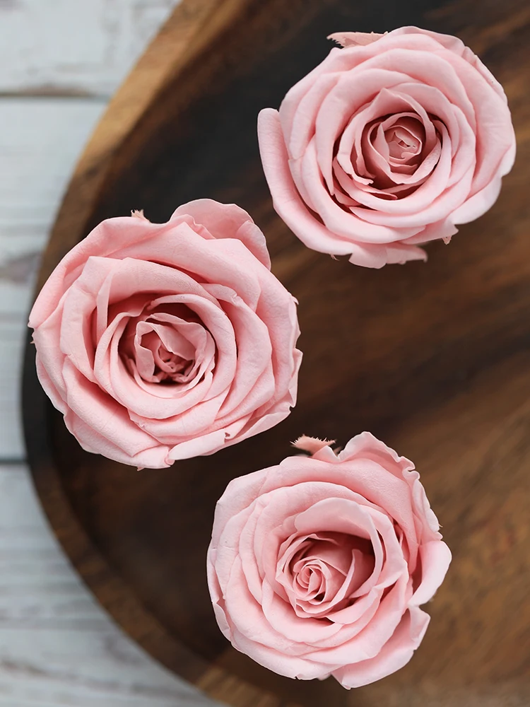 8PCs/Box Preserved Fresh Rose Flower Heads 4-5CM Dried Flower Roses for Teddy Bear Handmade DIY Eternal Flower Arrangement Gift