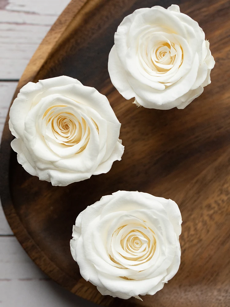 8PCs/Box Preserved Fresh Rose Flower Heads 4-5CM Dried Flower Roses for Teddy Bear Handmade DIY Eternal Flower Arrangement Gift