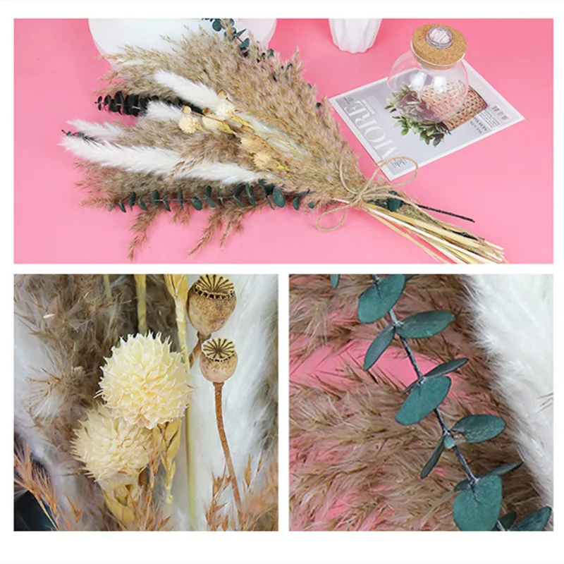1Set Natural Preserved Eucalyptus Millet Leaf Floral Plant  Flowers Bouquet Wedding Bohemian Home Room Decoration Photography