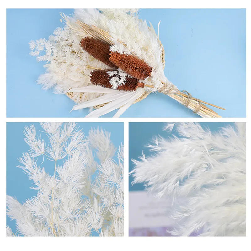 1Set Natural Preserved Eucalyptus Millet Leaf Floral Plant  Flowers Bouquet Wedding Bohemian Home Room Decoration Photography