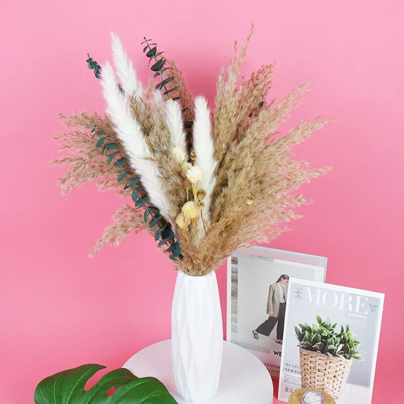 1Set Natural Preserved Eucalyptus Millet Leaf Floral Plant  Flowers Bouquet Wedding Bohemian Home Room Decoration Photography