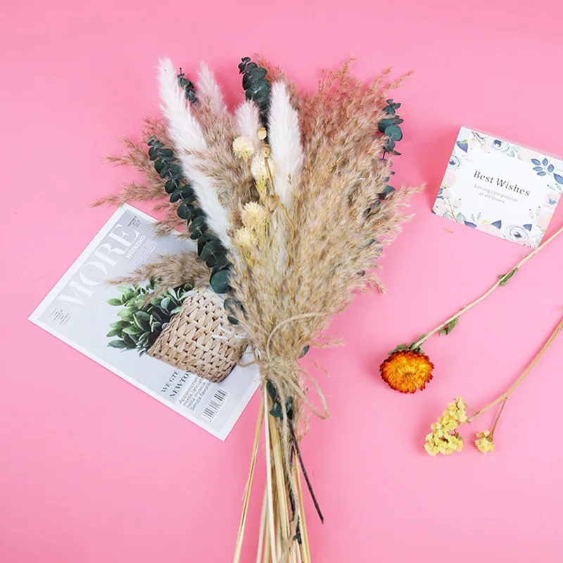 1Set Natural Preserved Eucalyptus Millet Leaf Floral Plant  Flowers Bouquet Wedding Bohemian Home Room Decoration Photography