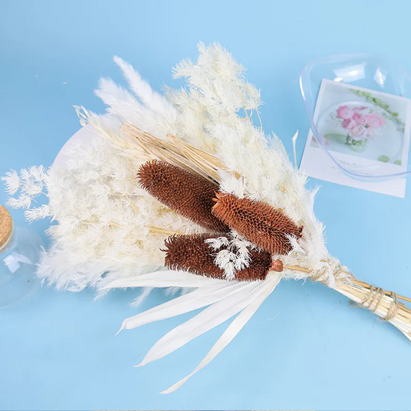 1Set Natural Preserved Eucalyptus Millet Leaf Floral Plant  Flowers Bouquet Wedding Bohemian Home Room Decoration Photography