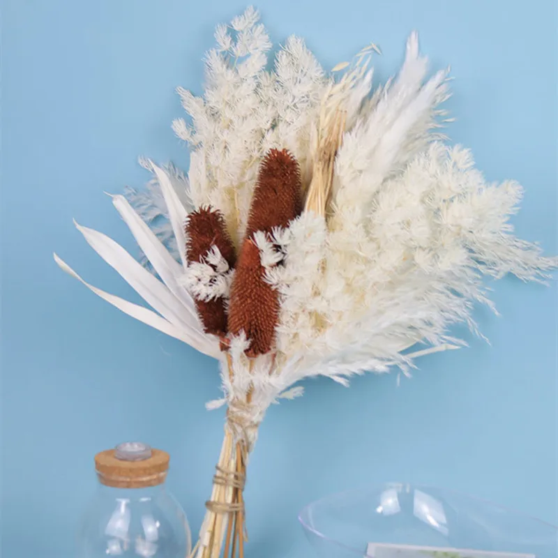 1Set Natural Preserved Eucalyptus Millet Leaf Floral Plant  Flowers Bouquet Wedding Bohemian Home Room Decoration Photography